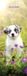Magnet & Steel Kalender Chiot 2027 Mural Mince Animaux