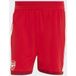 ADIDAS PERFORMANCE Pantalon de sport 'FC Arsenal 26/27 Authentic' carmin / blanc cassé