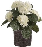 Merkloos Kunstplant met plantenmand - Hortensia - Paars - Rotan pot - Grijs