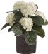Merkloos Kunstplant met plantenmand - Hortensia - Paars - Rotan pot - Grijs