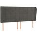 VidaXL Hoofdbord met randen Donkergrijs Fluweel 163x23x118/128 cm