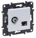 Legrand NILOE STEP - Module Gniazdo TV TYP F - 1x UAE CAT.6 UTP - Wit
