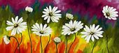 Diamantmozaïek: Belle marguerite, 50x110 cm