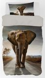 Animal Pictures Dekbedovertrek Olifant 140 x 200 cm - 70 x 90 cm - Katoen