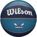 Wilson NBA Team Tribute Charlotte Hornets Basketbal Maat 7