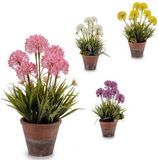 IBERGARDEN Decoratieve plant Keramisch Cement Plastic (20 x 40 x 20 cm)