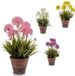IBERGARDEN Decoratieve plant Keramisch Cement Plastic (20 x 40 x 20 cm)