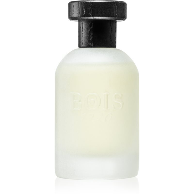 Bois 1920 Vetiver Ambrato eau de parfum / unisex