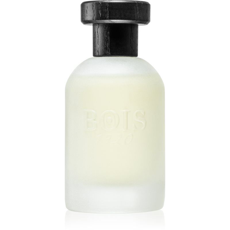 Bois 1920 Eau de Parfum / 100 ml / Unisex