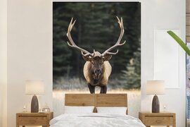 Nr1Wallpaper Behang - Fotobehang Hert - Boom - Gewei - Breedte 170 cm x hoogte 260 cm