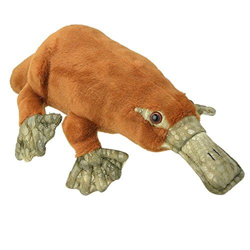 Wild Planet All About Nature - Ornitorrinco Echse - 41cm - Realistisch - Meerkleurig (K8194)