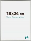 yd. Cadre photo 18x24 cm Plastique Champagne Evry