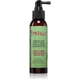 Mielle Rosemary Mint Dry Hair Oil 118 ml