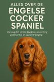 Alles Andries B.V. Alles over de Engelse Cocker Spaniel