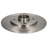 Delphi BG9025RS schijfrem