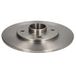 Delphi BG9025RS schijfrem