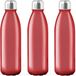 Merkloos / Sans marque Makito Western Europe Glazen waterfles/drinkfles met RVS dop - 6x - rood transparant - 650 ml - Sportfles - Bidon