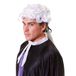 Bristol Forum Novelties Bristol Novelty BW353 Jurist pruik, wit, eenheidsmaat