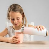 ColourDesign Roestvrijstalen thermosfles, 450 ml, roze