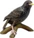 Goebel - Vogels | Decoratief beeld / figuur Vogel van het Jaar 2018 - Spreeuw | Porselein - 12cm