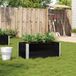 Maison Exclusive - Jardinière Bois massif pin noir 100x50 cm