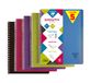 Clairefontaine 329156C Linicolor Intensive Evolutiv'Book Spiraalschrift Geperforeerd - A4+ 22,5x29,7cm 240 Uitscheurbare Pagina's Gelijnd met Kader en Kantlijn Papier 90g - Polypro Omslag Willekeurige Kleur