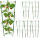 Relaxdays Tomatensteun set van 6 - 45 cm - Metaal/Kunststof - Groen