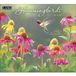 Lang Hummingbirds Kalender 2027 Wandkalender