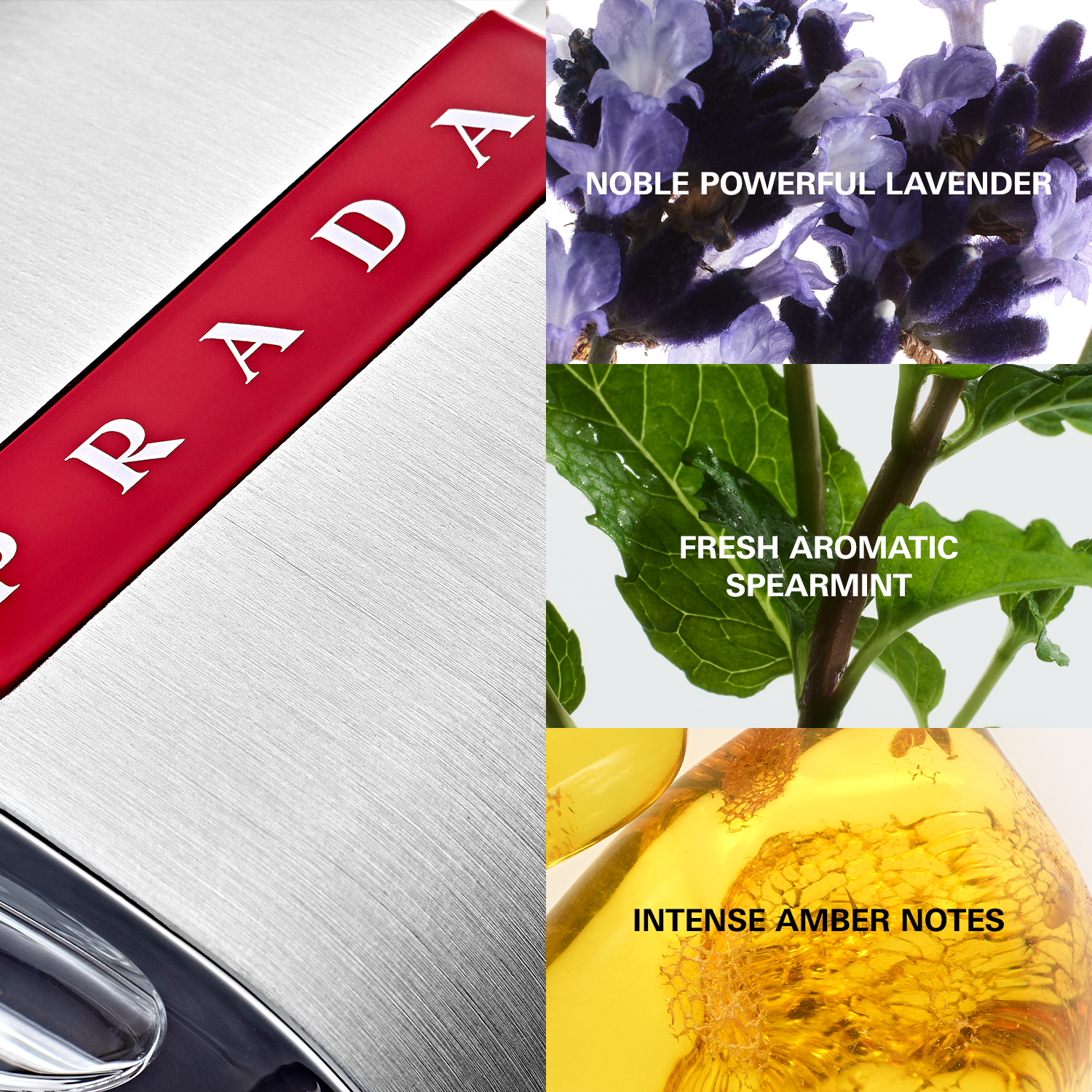 Prada Eau de Toilette / 50 ml / Heren