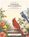 Uccelli del giardino: Libro da colorare facile: 30 uccelli del Nord America da colorare e scoprire