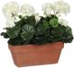 Mica Decorations Geranium Plante artificielle en bac à jardinière - Blanc