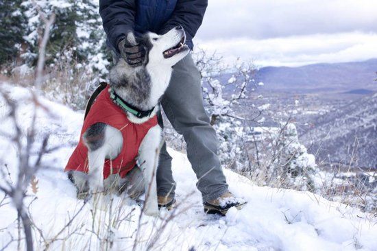 KURGO Thermo Warme Jas voor Honden - Rood/Grijs - Medium