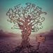 Shake Brew - Shake The Tree (LP)
