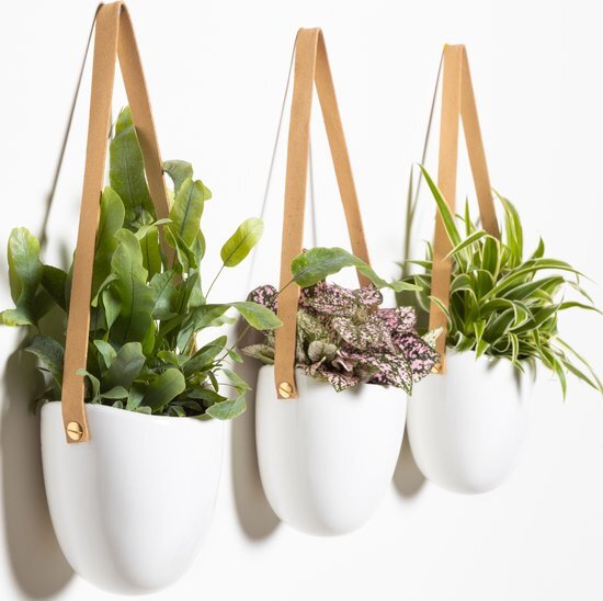 Gadgy Plantenhanger Keramiek - Set van 3 - Hangpot van Wit Steen - Hangende Bloempot Plantenpot - met 3 verschillende Koorden - 12x11x9.5CM