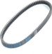 Dayco Scooter Transmission Belt for Malaguti 125 Ciak 2000-2001 51700600 New
