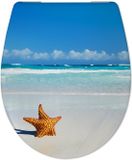 1209 Cedo Toiletzitting star Fish Softclose Veelkleurig