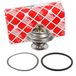 febi bilstein 15850 thermostaat met O-ring en afdichting, 1 stuk