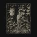 Long Tyler Childers Long Violent History (LP)