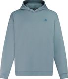 Protest PRTRoman Hoodie Heren Steel Blue