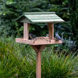 Gifts4Nature Voederhuisje op Paal - Vogelvoerderhuisje Staand voor Kleine Vogels & Tuinvogels - Groen