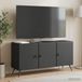Maison Exclusive - meuble TV, noir, 99 x 34,5 x 50 cm, matériau : panneau de particules