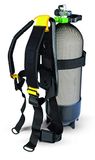 Best Divers Ab0417s Rugleuning voor Duikfles, met riemen, gespen, nylon, gevoerde schouderbanden, uniseks, volwassenen, zwart, eenheidsmaat