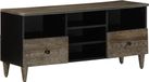 Prolenta Maison Exclusive Meuble TV exclusif - 100x33x46 cm, en bois massif de manguier
