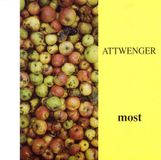 Music&Words Attwenger Most