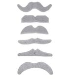 Widmann Bigotes, meerkleurig