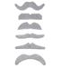 Widmann Bigotes, meerkleurig