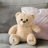 Your Surprise Knuffeldier - Ben de Beer Teddybeer