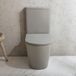 Hudson Reed Duoblok toilet moderne ronde met soft-close toiletzitting - Grijs (Pebble)