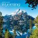 Wyoming Brown Trout Wyoming Wild & Scenic 2027 12 X 24 Inch (Hanging) Monthly Square Wall Calendar Plastic-Free