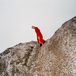 Reward Cate Le Bon - Reward (LP)